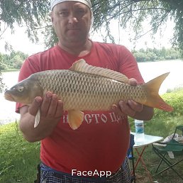 , , 46 