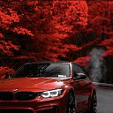 ���� ����, ���������, 26 ��� - ��������� 20 ���� 2025 � ������ ���� ����������