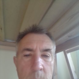 , 56, -