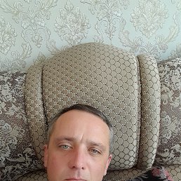  ,  , 44  -  19  2024