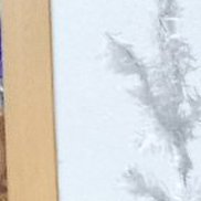 ��������, 62 ����, ������