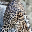 ���� ����, �����-���������, 91 ��� - ��������� 1 ������� 2024