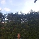 ���� ������, ��������� - ��������� 26 ������� 2025 � ������ ���� ����������
