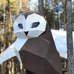 �������, ������, 41 ���