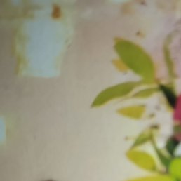 ������, ����, 52 ����