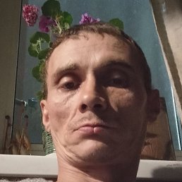 �����, ������, 44 ����