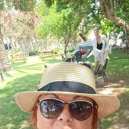 �����, �������, 61 ���