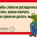 ���� �������, ������, 61 ��� - ��������� 2 ������ 2026 � ������ ���� ����������