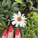 ���� ���)), ���� - ��������� 30 ������� 2025 � ������ ������ ��������