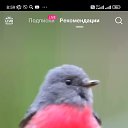 ���� �����, �������, 58 ��� - ��������� 25 ������ 2024 � ������ ���� ����������