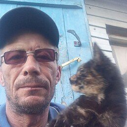 �����, ��������, 44 ����