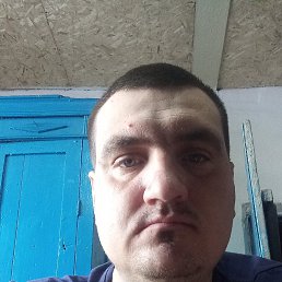 �������� ���������, 29 ���, ������