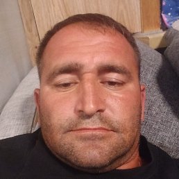 ����, ����������, 36 ���