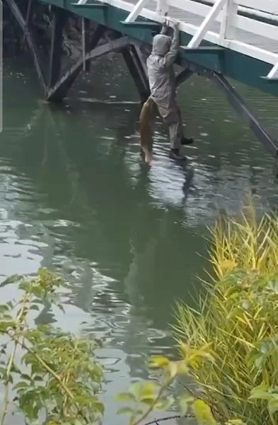 ����� ������ ������� ��� �� ������ - 2