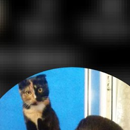 ���� ����, ���������, 55 ��� - ��������� 24 ������ 2023