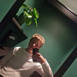 , 56, 