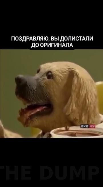  coax cex a ooe eo  oy c po oo. Ka coc, cpax ceye ... - 2