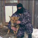 ���� ���������, �����, 53 ���� - ��������� 6 ������� 2026 � ������ ���� ����������