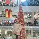 ���� ����, ������ - ��������� 29 ������ 2026