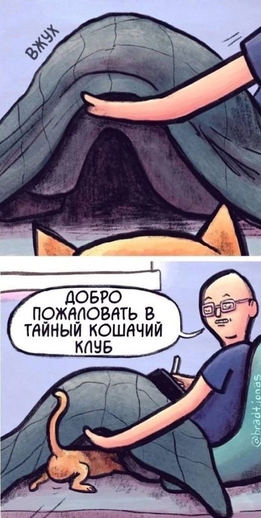      ! - 3