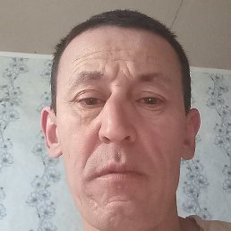 ������, ������, 49 ���