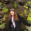 ���� �����, �������, 31 ��� - ��������� 20 ������� 2024 � ������ ���� ����������