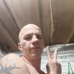 , 34, 