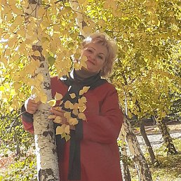, 65, 