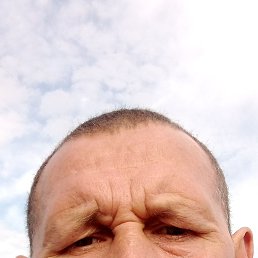 , 46, 