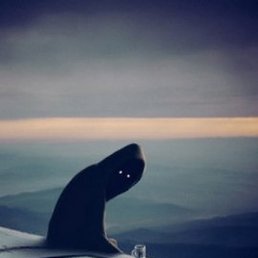 ������, �������, 51 ���