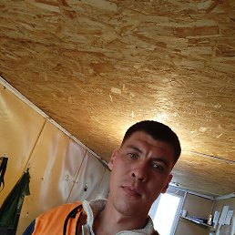 ������, ������, 37 ���