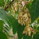 ���� �������, ������, 60 ��� - ��������� 23 ������� 2025 � ������ ������-������������� ��������� � ���������