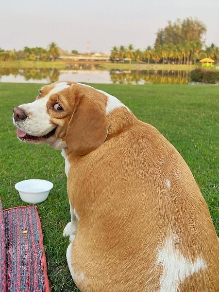    ,    ,     .  ,  , ... - 5