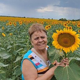 �������, ���������, 67 ���