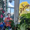 ���� �������, ������������ - ��������� 14 �������� 2025 � ������ ���� ����������