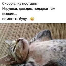 ���� �����, ���������, 65 ��� - ��������� 15 ������� 2023