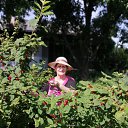 ���� 2023... �� ������� ���� ����������