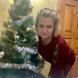 ���� �����, ����������, 42 ���� - ��������� 13 ������ 2024