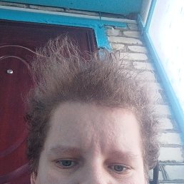 , 33, 