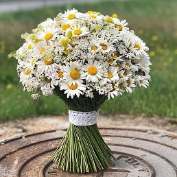 ��������, ������, 20 ���