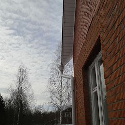 ��������, ������, 63 ����