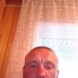 , 37, 