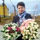 ���� �����, ������ ��������, 62 ���� - ��������� 28 ������� 2023 � ������ ���� ����������