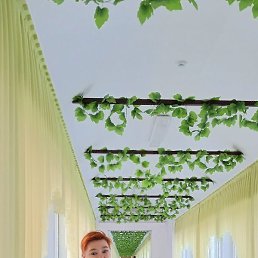 ����, �������, 61 ���