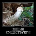 ���� ����, ���� - ��������� 13 ������� 2024 � ������ ���� ����� ������ ������