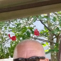 ������, ������, 60 ���