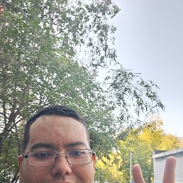 , 31,  
