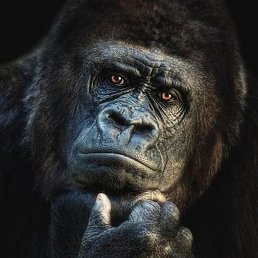 �����, ������, 21 ���