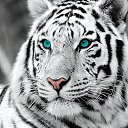 ���� �����, ������, 45 ��� - ��������� 18 ������� 2023 � ������ ���� ����������