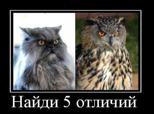 �������� �� ����� ����. - 26 ������� 2026 � 13:48